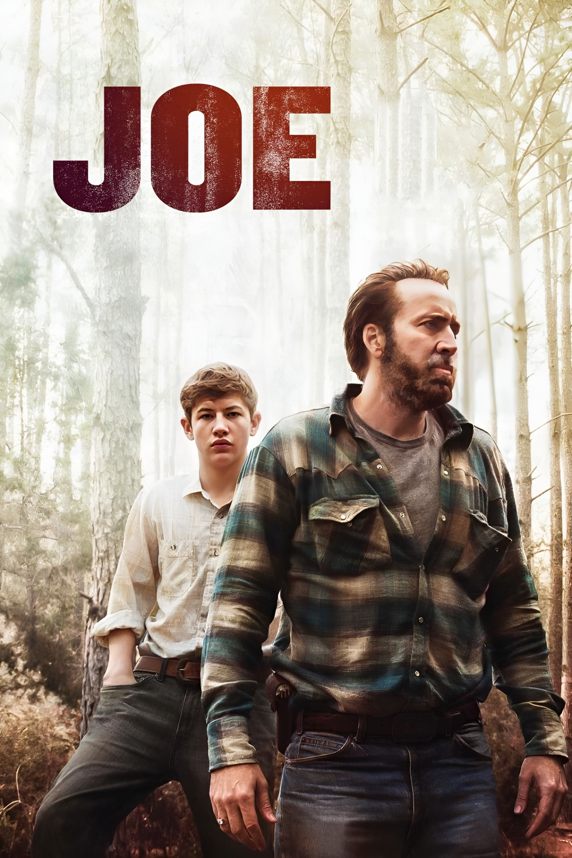 Joe (2014) [18541] (A1764147201) [[Movies]] --Plex--